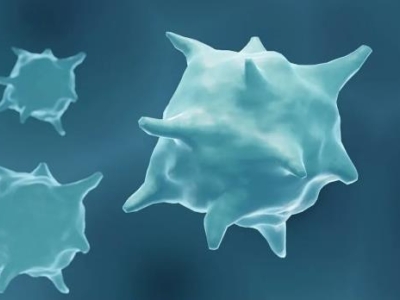 晚期消化道癌細胞免疫治療最新臨床招募