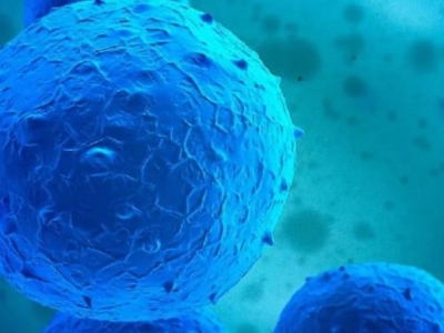 再傳喜訊！達(dá)博生物“人臍帶間充質(zhì)干細(xì)胞注射液”獲臨床試驗?zāi)驹S可