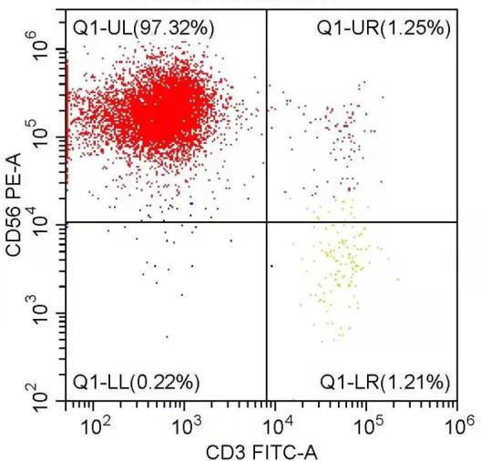 高純度NK細(xì)胞