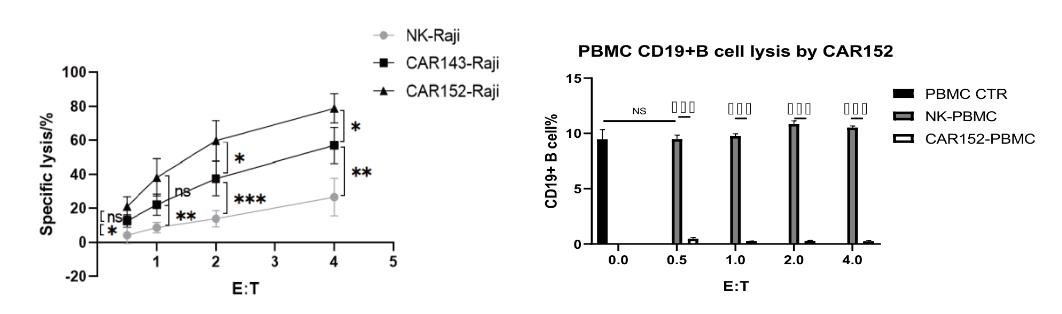 CAR-NK的腫瘤細胞殺傷能力