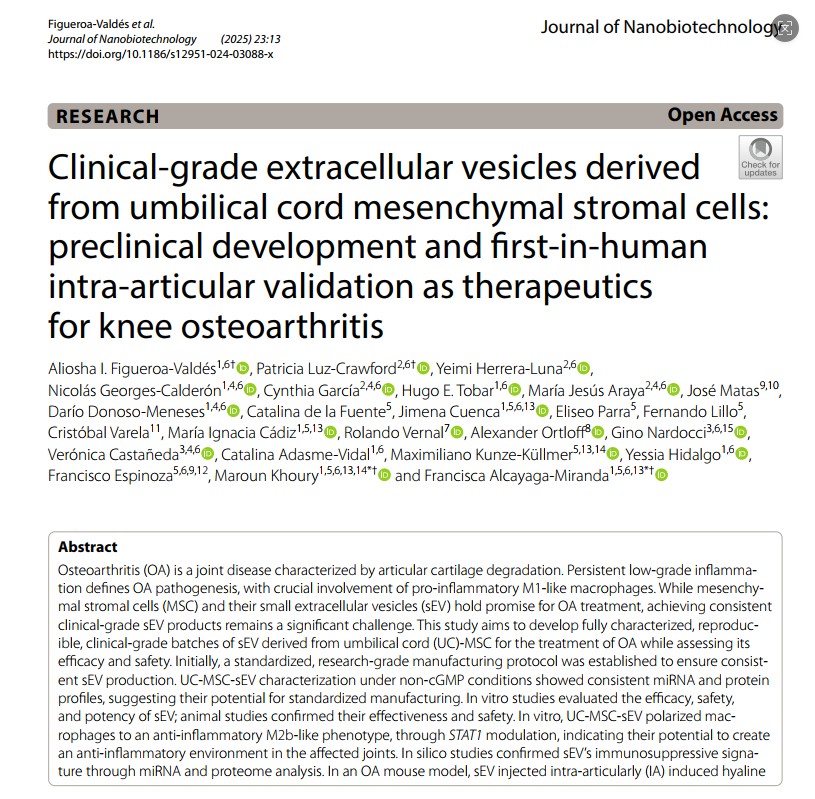 利用間充質(zhì)干細胞外泌體治療膝骨關節(jié)炎的臨床研究